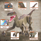 BEEPRINCESS RC Dinosaur Robot Toys for Kids, Interactive Toy with Light Chasing Remote Control